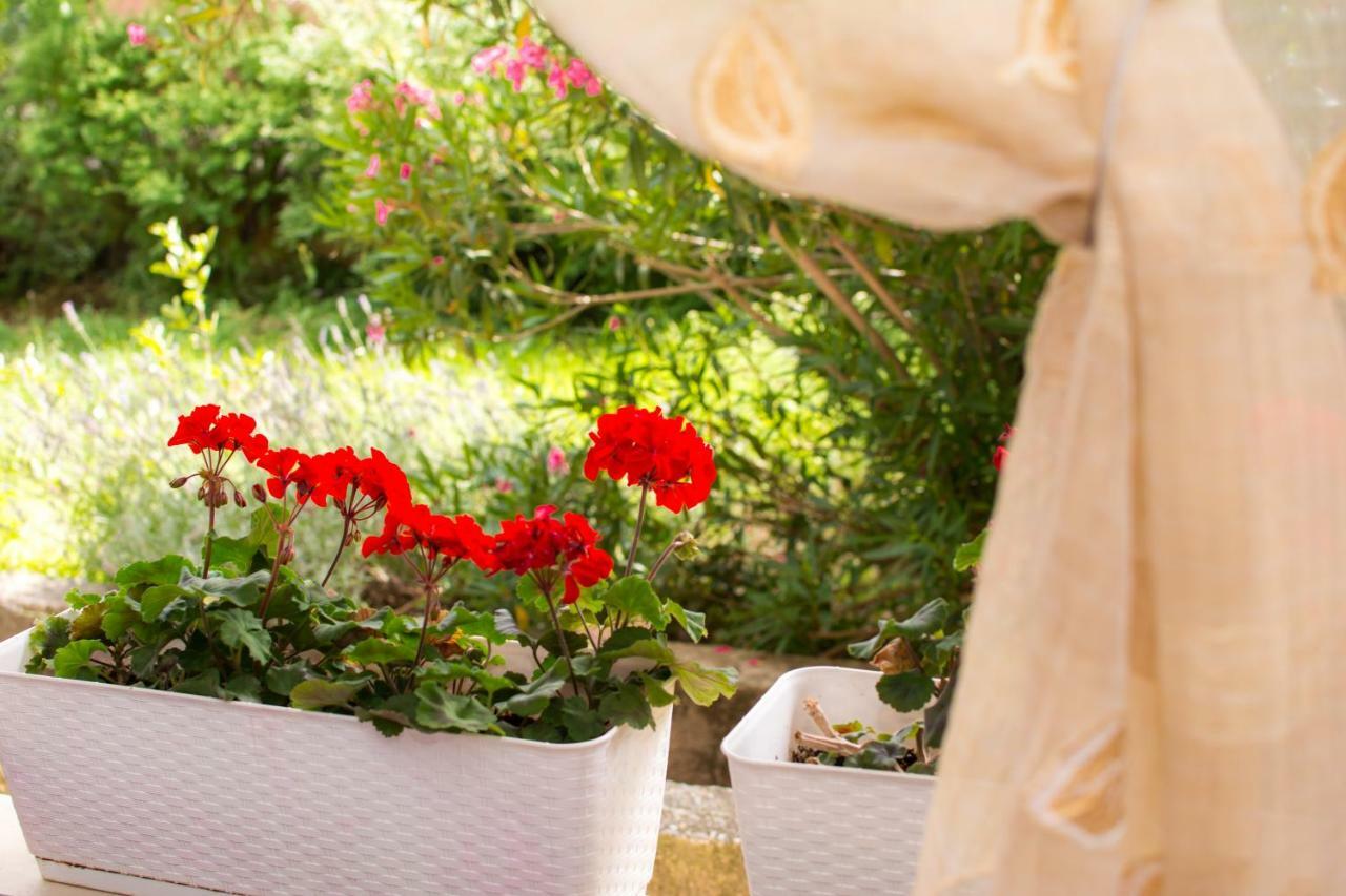 Apartment Vida - Amazing Place With Garden And Terrace Rijeka Extérieur photo